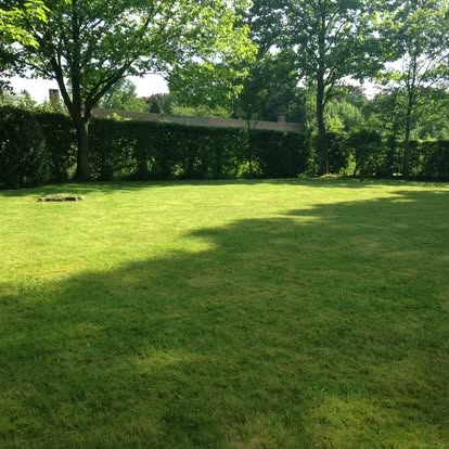 Création et entretien de gazons